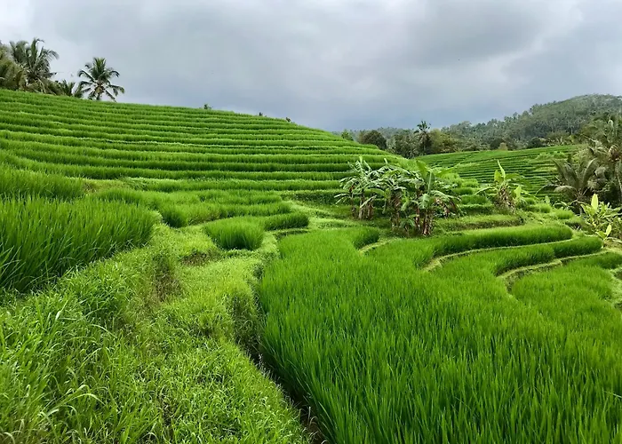 The Manikyang